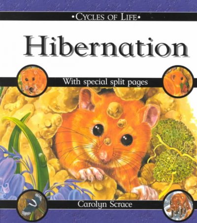 Hibernation / written and illustrated by Carolyn Scarce ; created and designed by David Salariya.