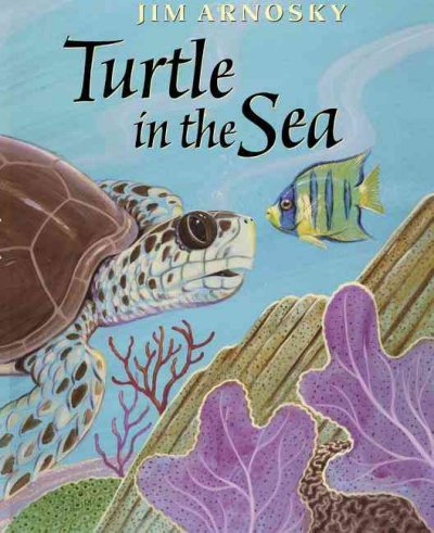 Turtle in the sea / Jim Arnosky.