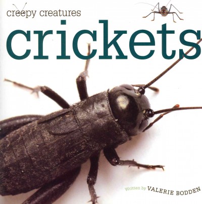 Crickets / Valerie Bodden.