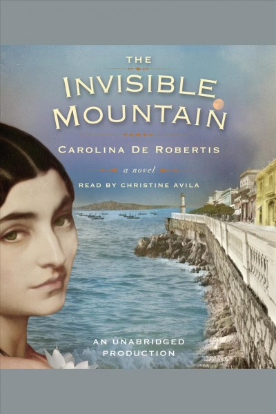 The invisible mountain [electronic resource] / Carolina De Robertis.