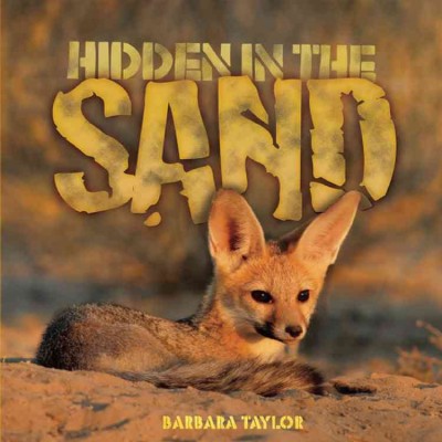 Hidden in the sand / Barbara Taylor.