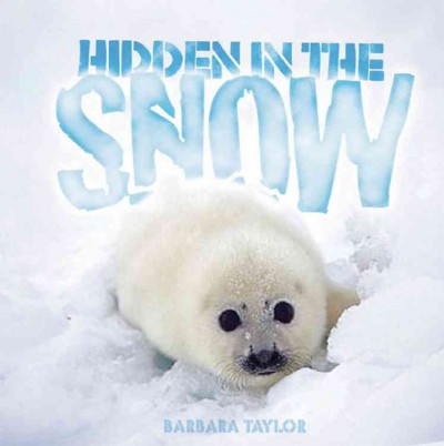 Hidden in the snow / Barbara Taylor.