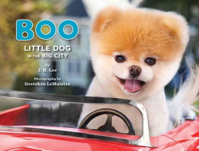 Boo : little dog in the big city / by J.H. Lee ; photography by Gretchen LeMaistre.