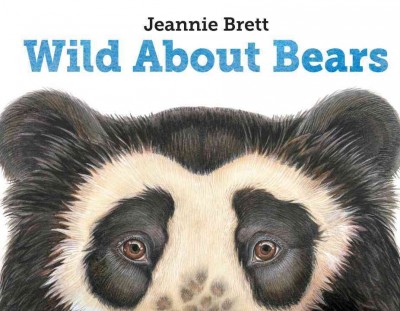 Wild about bears / Jeannie Brett.