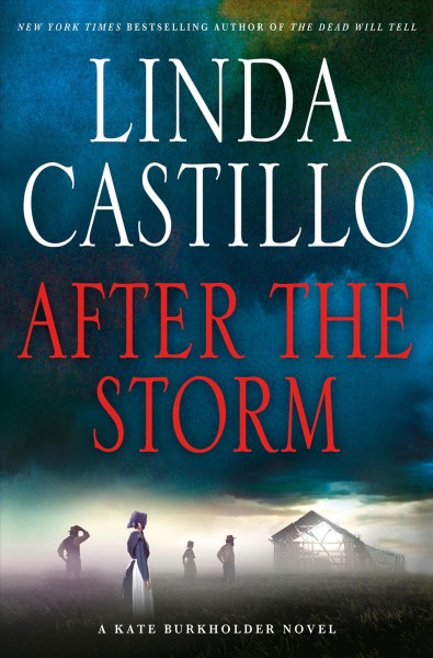 After the storm : a Kate Burkholder novel / Linda Castillo.