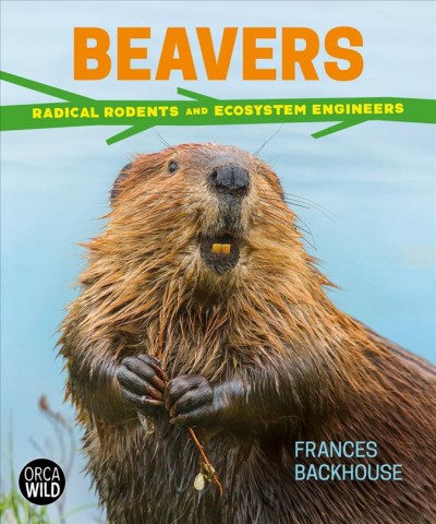 Beavers : radical rodents and ecosystem engineers / Frances Backhouse.
