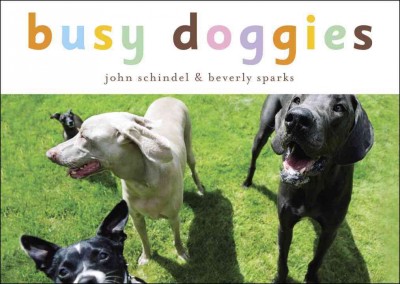 Busy doggies / John Schindel & Beverly Sparks.