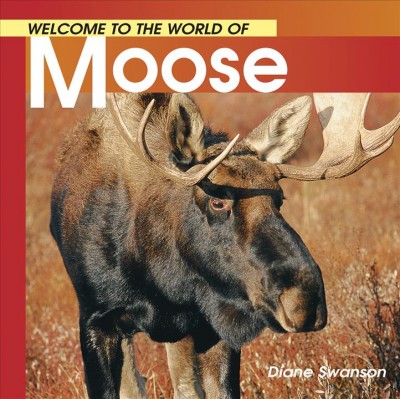 Welcome to the world of moose.