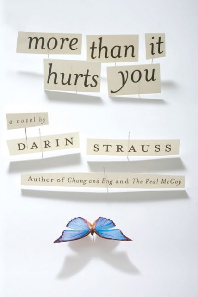 More than it hurts you : a novel / Darin Strauss.