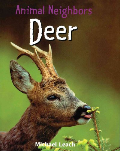 Deer / Michael Leach.