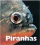 Go to record Piranhas