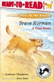 Brave Norman : a true story  Cover Image