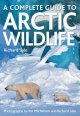A complete guide to Arctic wildlife  Cover Image