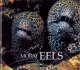 Go to record Moray eels