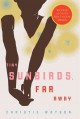 Tiny sunbirds, far away : a novel  Cover Image