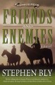 Friends and enemies a novel  Cover Image
