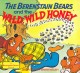 The Berenstain Bears and the wild, wild honey Cover Image