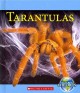 Go to record Tarantulas