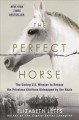 Go to record The perfect horse : the daring U.S. mission to rescue the ...