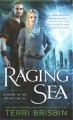 Go to record Raging sea : a novel of the stone circles