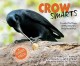 Crow smarts : inside the brain of the world's brightest bird  Cover Image