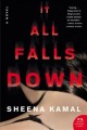It all falls down  Cover Image