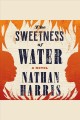 The sweetness of water : a novel  Cover Image