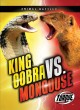 Go to record King cobra vs. mongoose
