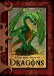 Go to record A practical guide to dragons