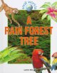 Go to record A rain forest tree