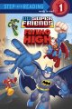Flying high  Cover Image