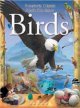 Birds  Cover Image